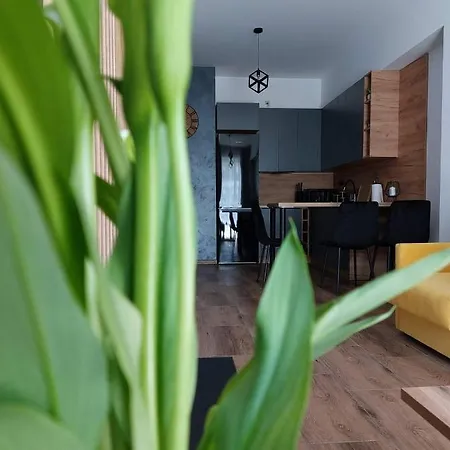 Silver 58 Apartman Zator