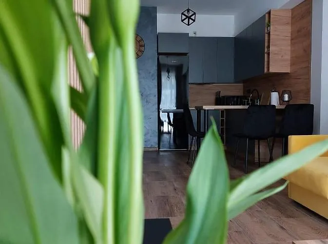 Silver 58 アパート ザトル